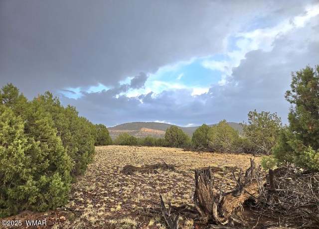 Property at Lot 9 Pinon Valley Rnch, Concho, AZ 85924