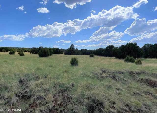 Property at 83 County Road 3035, Concho, AZ 85924