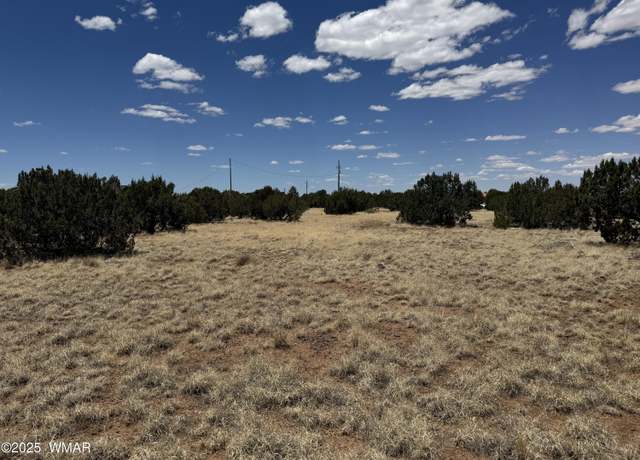 Property at 8507 Ossendorf Pl, Show Low, AZ 85901