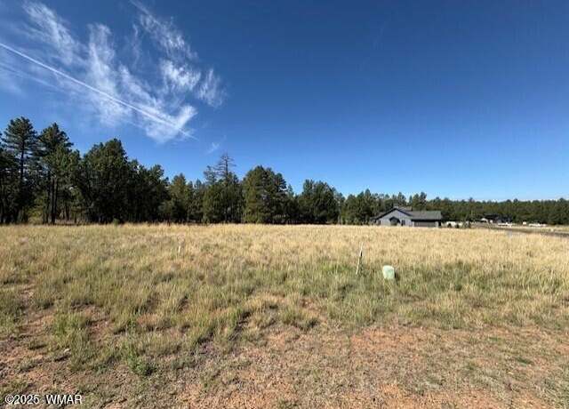 Property at 2201 W Edgewater Lot 58, Show Low, AZ 85901