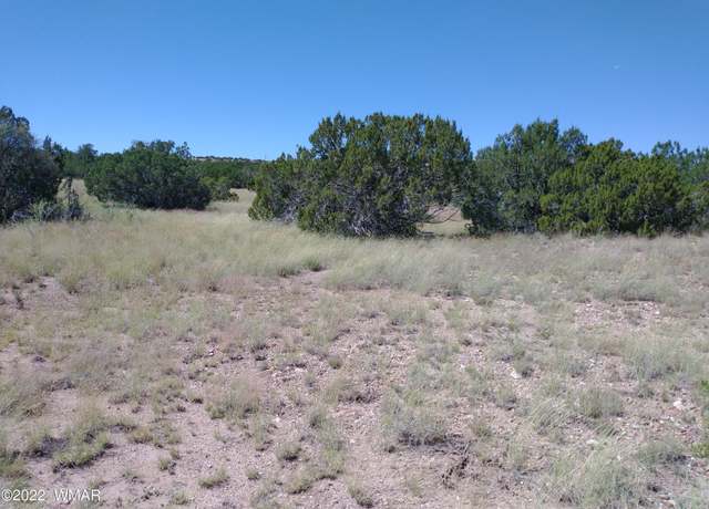 Property at 147 Concho Dr, Concho, AZ 85924