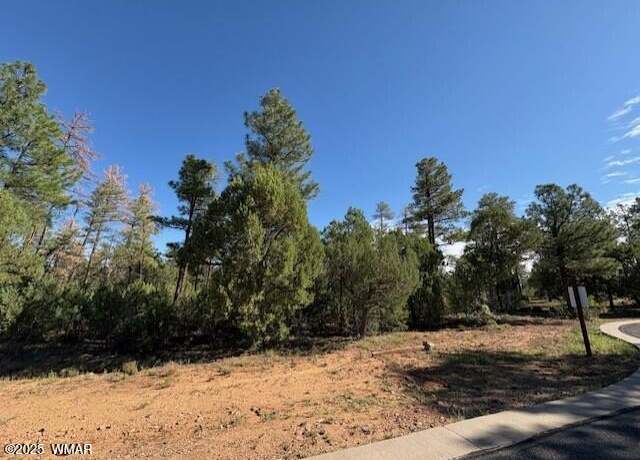 Property at 2100 W Whispering Spgs Lot 1, Show Low, AZ 85901
