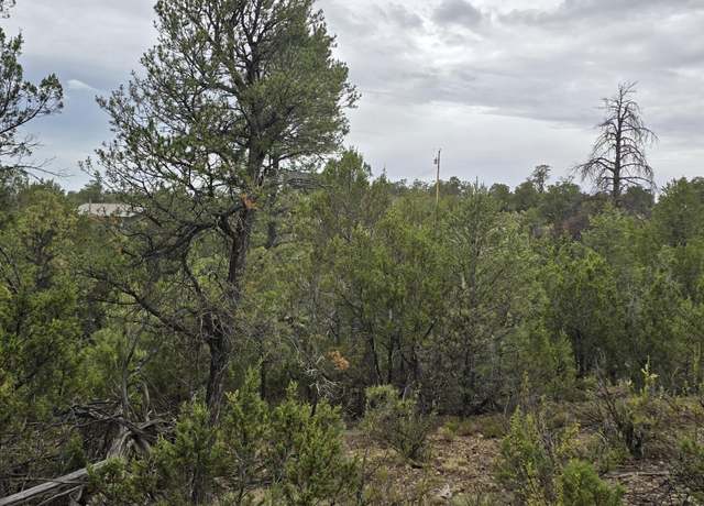Property at 1872 Little Doe Trl, Heber, AZ 85928
