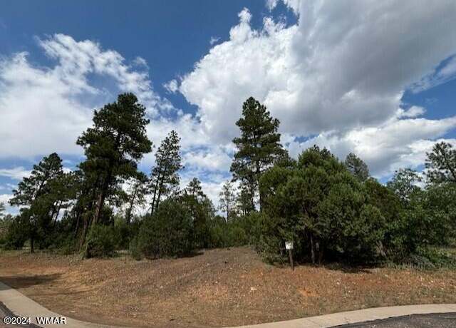 Property at 1541 S Braden Ct Lot 73, Show Low, AZ 85901