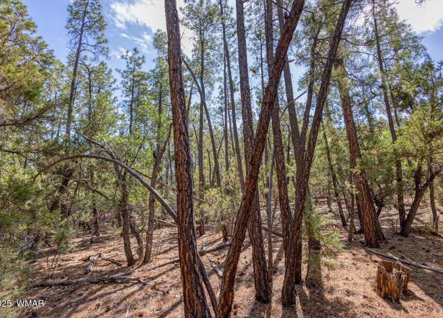 Property at 2038 Pine Wood Ln, Pinetop, AZ 85935