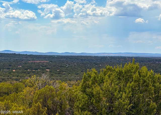 Property at 0 WEBER RD. LOT A 5 ACRES, Show Low, AZ 85901
