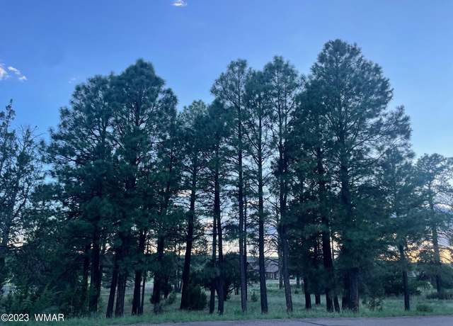 Property at 2215 Country Club Dr, Overgaard, AZ 85933