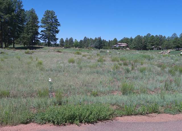Property at 2271 Green Cove Dr, Overgaard, AZ 85928