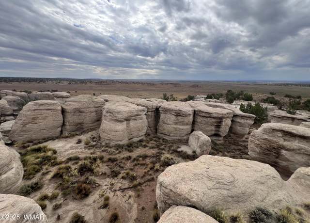 Property at TBD (Lot 231) N9326, Concho, AZ 85924
