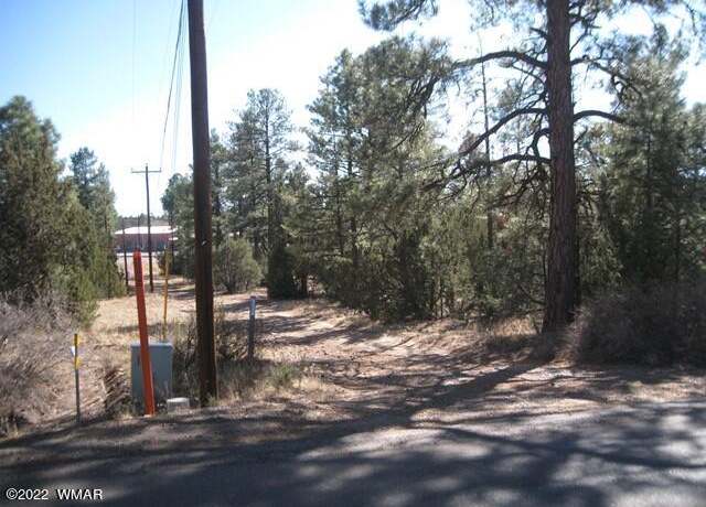 Property at 2081 Forest Park, Overgaard, AZ 85933