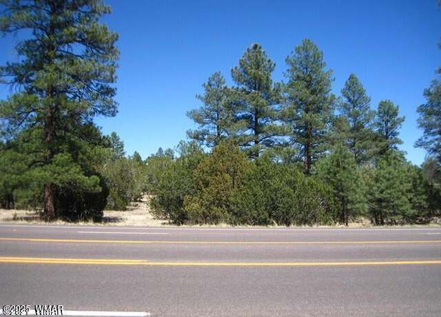 Property at 2081 Forest Park, Overgaard, AZ 85933