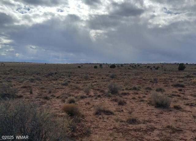 Property at 8356 Holly Trl, Snowflake, AZ 85937