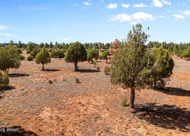 Property at XXXXX Iron Spur, Show Low, AZ 85901