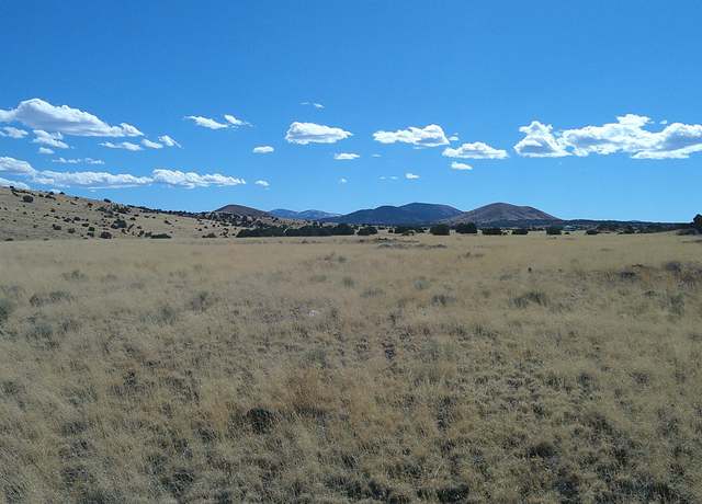 Property at 53 N 3448, Concho, AZ 85924