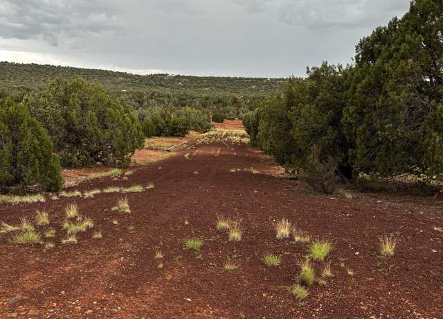 Property at 312 CR 8280, Concho, AZ 85924