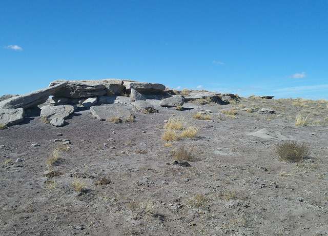 Property at TBD River Meadows Rnch, Concho, AZ 85924