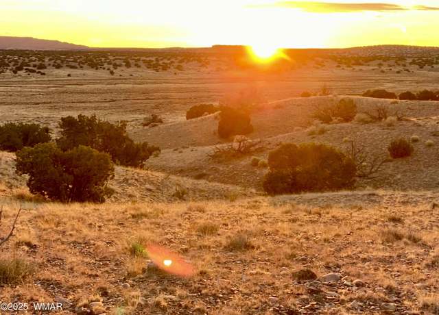 Property at - Woodland Valley Ranch 36 acres, St. Johns, AZ 85936