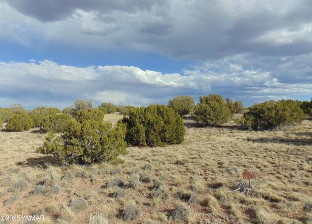 Property at 38 Gila Dr, Concho, AZ 85924