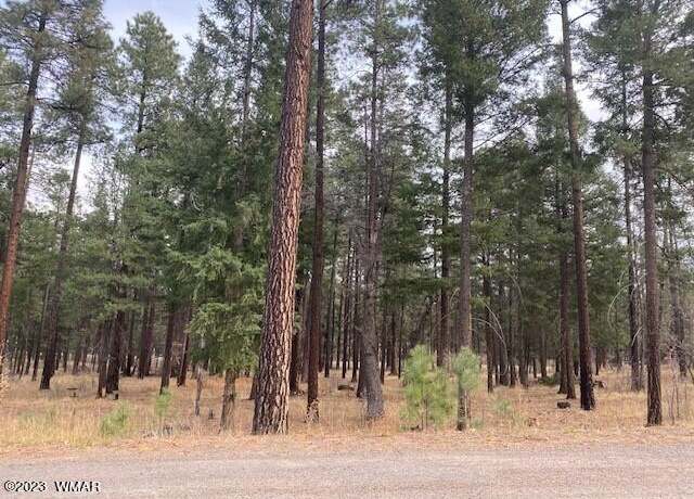 Property at 000 COUNTY ROAD 2196 Lot 74 AFE, Alpine, AZ 85920