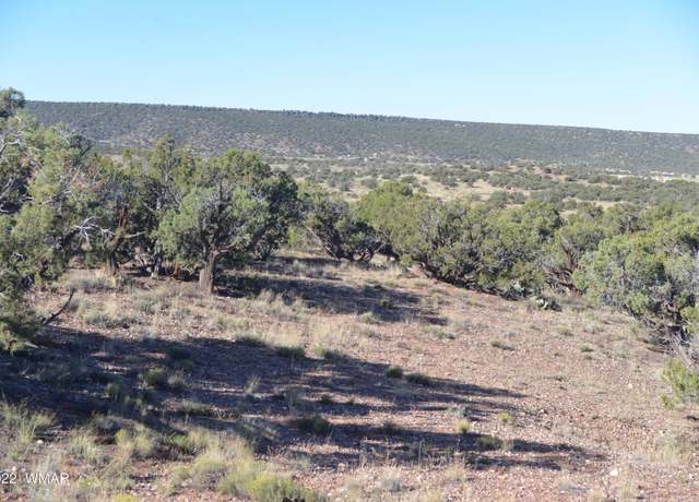 Property at 4389 Sorrel Rd, Snowflake, AZ 85937