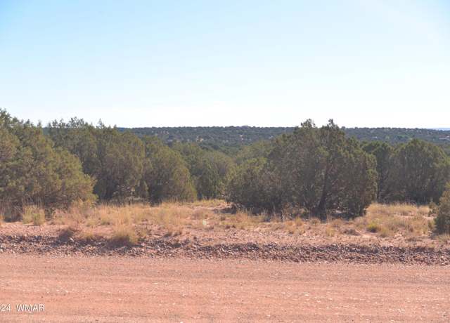 Property at 4173 Colt Rd, Snowflake, AZ 85937