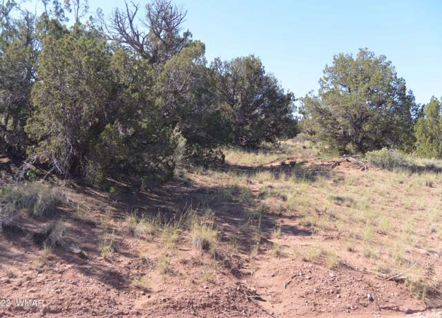 Property at 4211 Sorrel Rd, Snowflake, AZ 85937