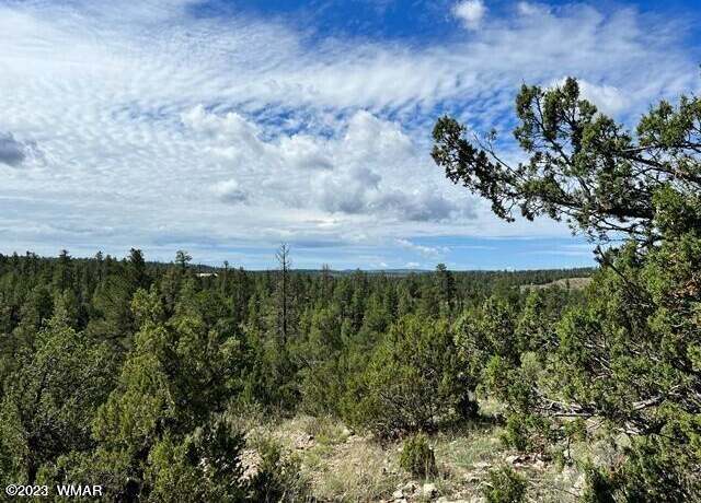Property at 1885 Chevelon Road Par. E, Heber, AZ 85928