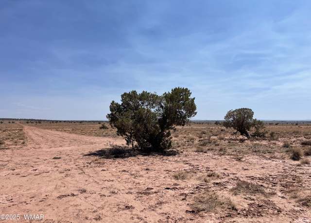 Property at 8191 E Concho Highway  Parcel E, Snowflake, AZ 85937