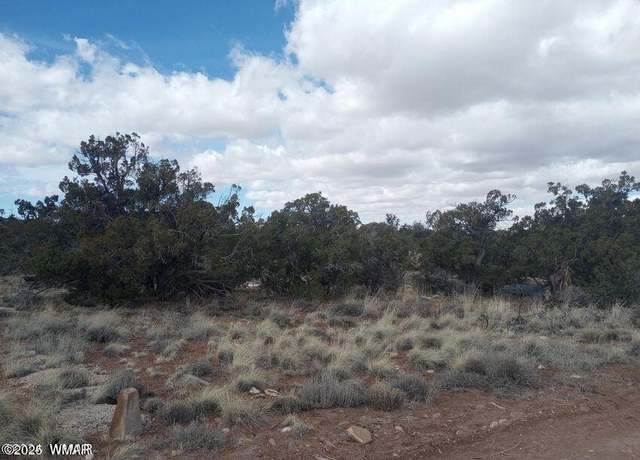 Property at 3958 Apache Rd, Snowflake, AZ 85937