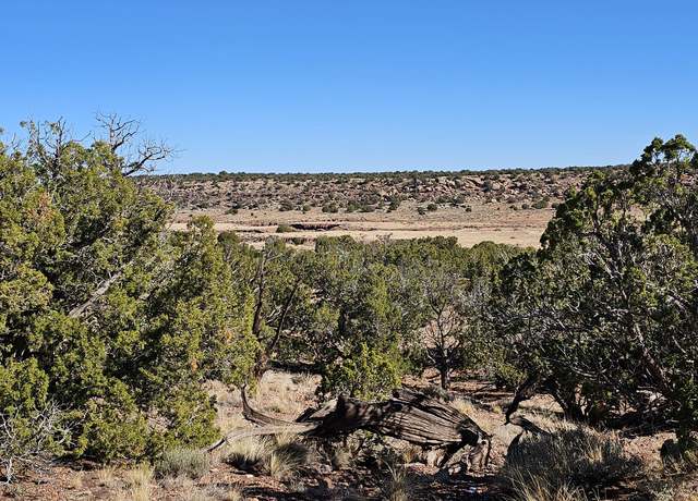 Property at 45 N 8579, Concho, AZ 85924