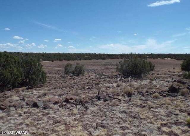 Property at 8085 County Rd, Concho, AZ 85924