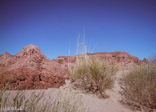 Property at Lot 277 River Meadows Rnch, Concho, AZ 85924