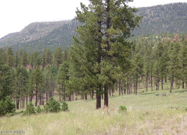 Property at Lot 14 The  Ranch At Alpine, Alpine, AZ 85920