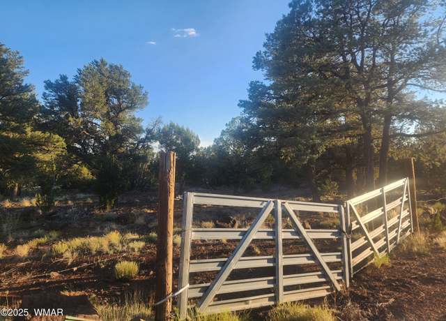 Property at 26 County Rd 3323, Vernon, AZ 85940