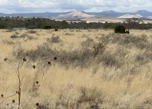 Property at TBD E Highway 60, Springerville, AZ 85938