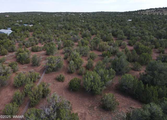 Property at TBD N3481, Vernon, AZ 85940