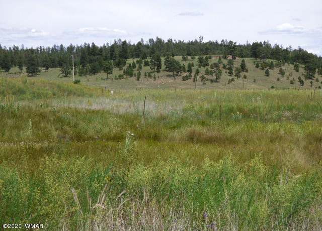 Property at LOT 34 The  Ranch At Alpine, Alpine, AZ 85920