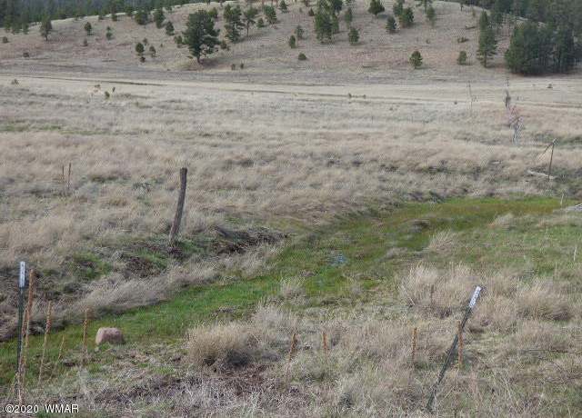 Property at Lot 21 The  Ranch At Alpine, Alpine, AZ 85920