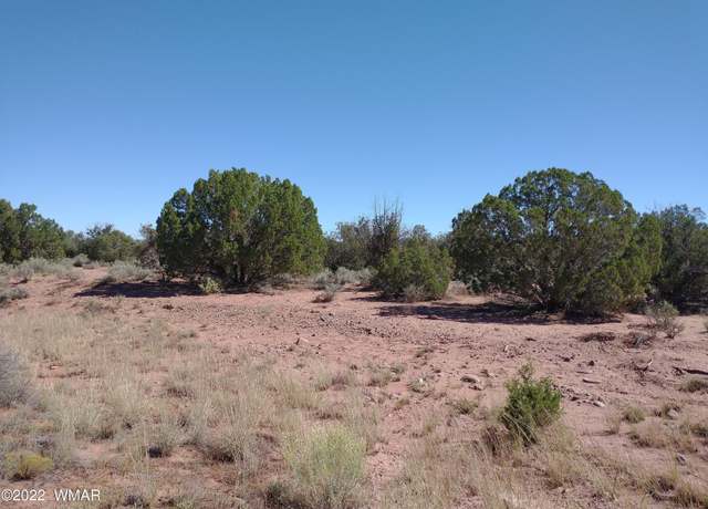 Property at 4247 Indian Bend Rd, Snowflake, AZ 85937