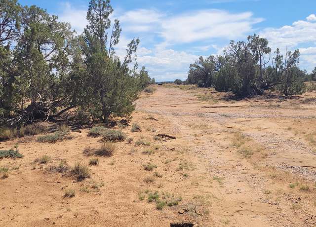 Property at TBD CR5532, Concho, AZ 85924