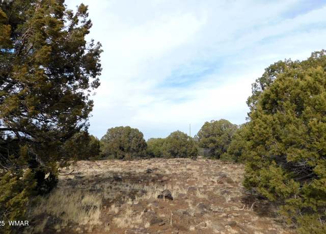 Property at 10 County Road N3071, Vernon, AZ 85940