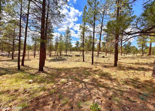 Property at PAR 007H Chevelon Rd, Heber, AZ 85928