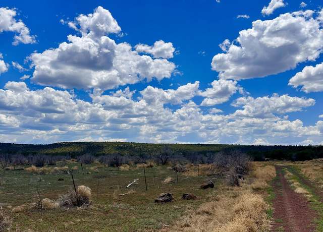 Property at 13 County Rd 8122, Concho, AZ 85924