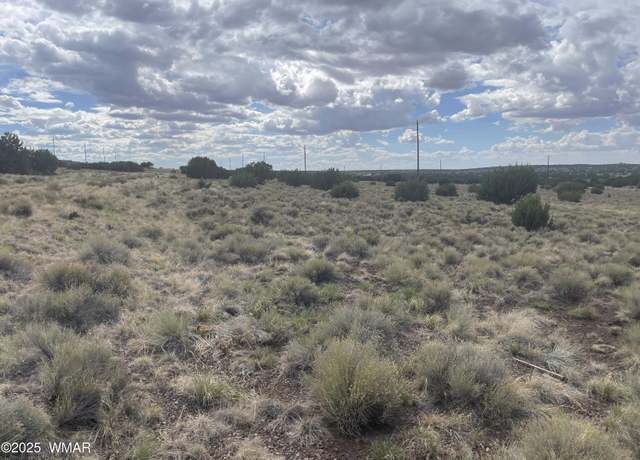 Property at 01 Aspen Dr, Concho, AZ 85924