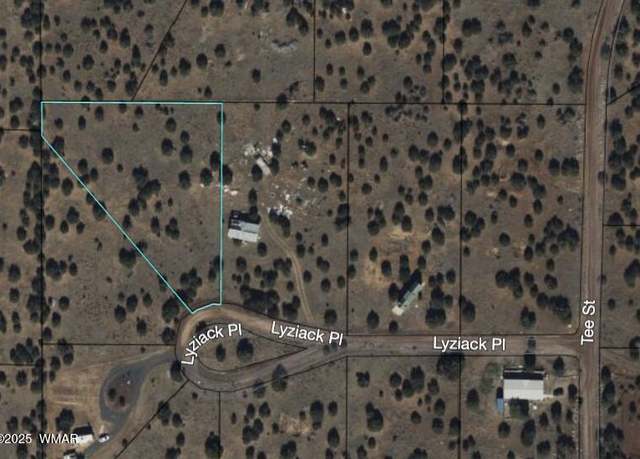 Property at 8514 Lyzniack Pl, Show Low, AZ 85901