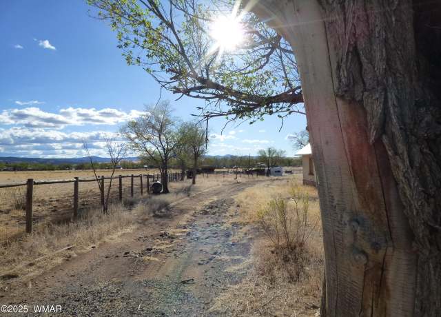 Property at 325 S Papago St, Springerville, AZ 85938