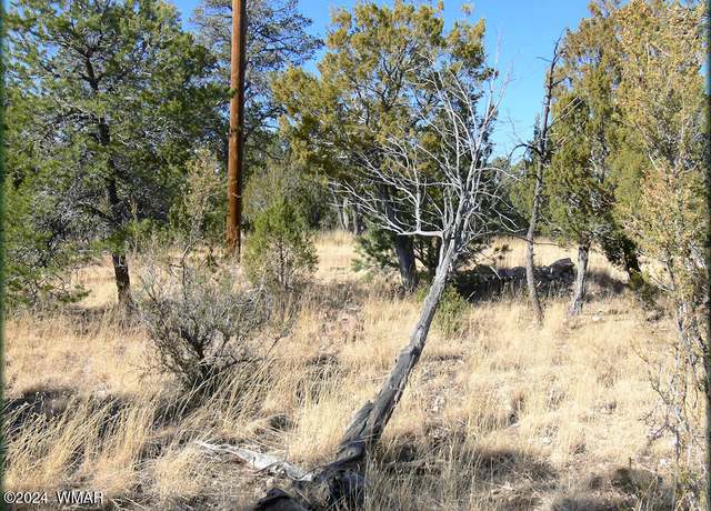 Property at 3326 Bear Heights Rd, Heber, AZ 85928