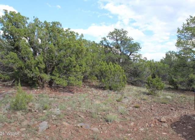 Property at 84 Co Rd 3199 #3199, Vernon, AZ 85940