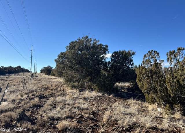Property at 2036 Sitgreaves Ranch Rd, Show Low, AZ 85901