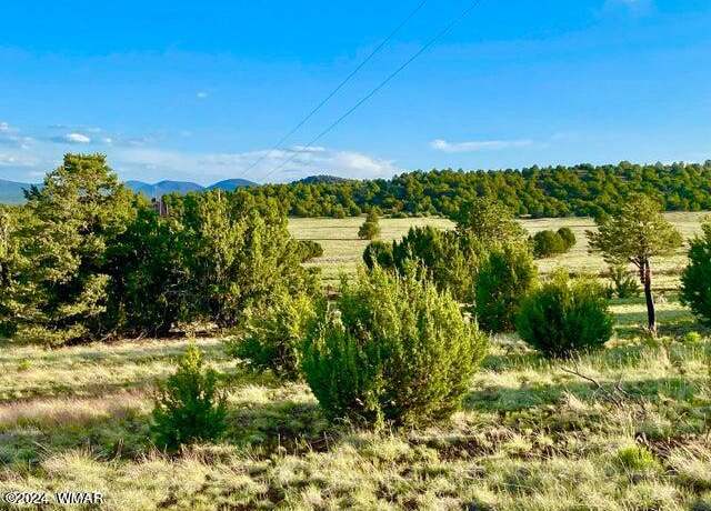 Property at 0 N3208 Lot D 9.81 Acres, Vernon, AZ 85940